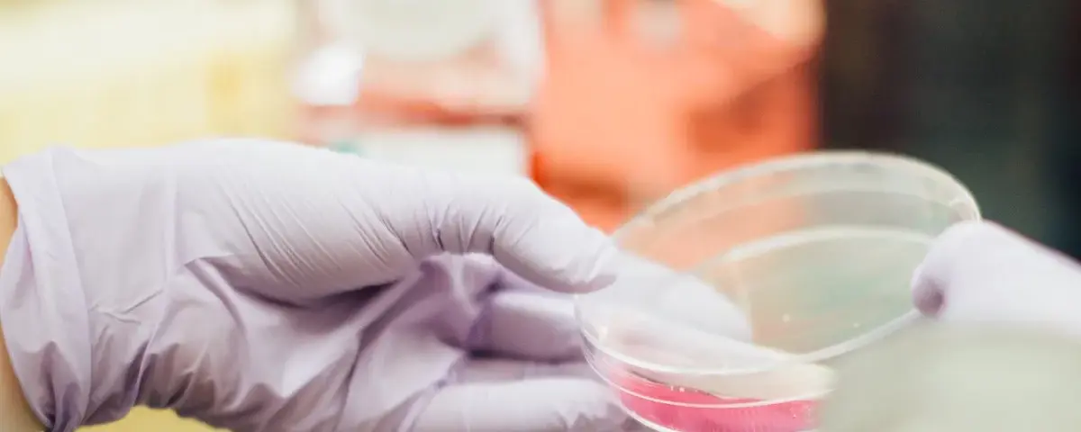 fashion product testing