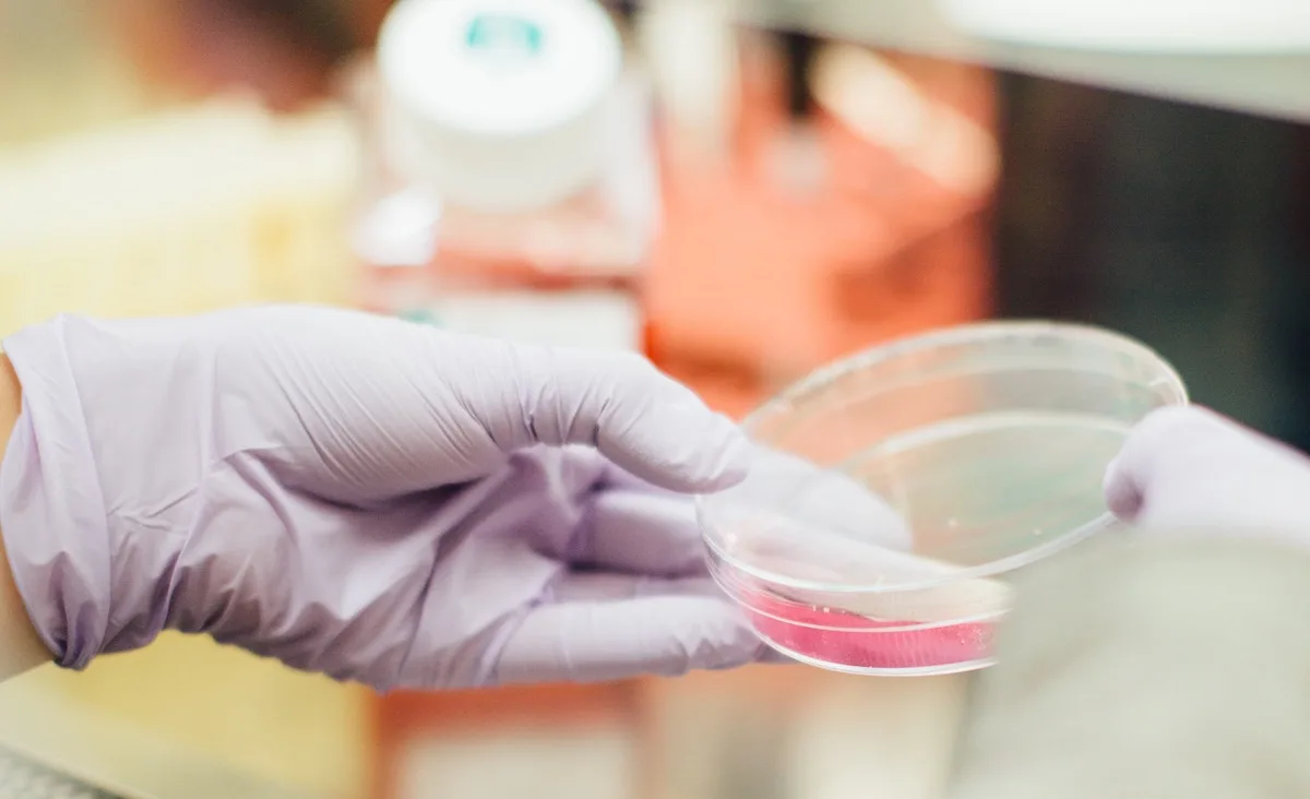 fashion product testing