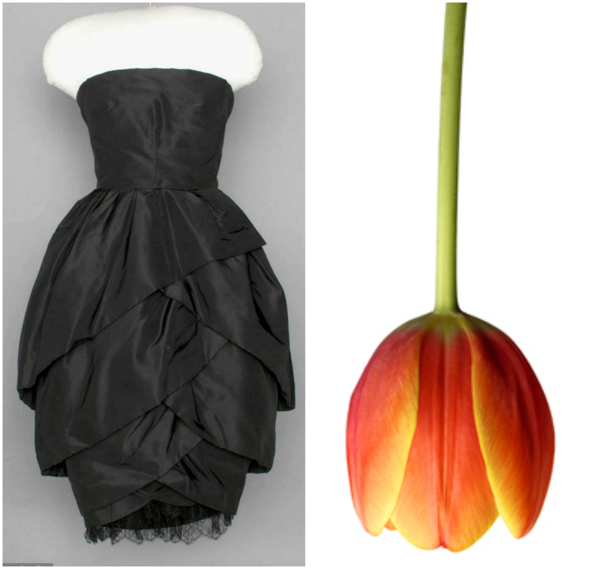 Christian Dior Tulip