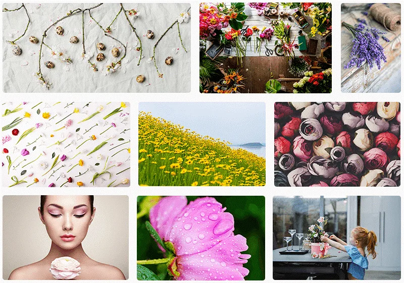 fashion brand video stock images